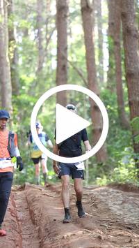 BIB:  <button type="button" onclick="openModal(26569723)" class="btn btn-primary btn-sm float-right" data-toggle="modal" data-target=".modal-high-quality">
                <i class="fa fa-download"></i> Download
                </button>